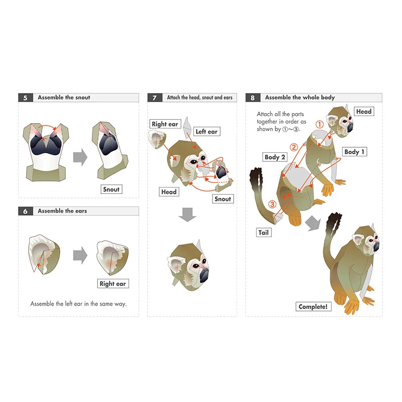 Squirrel Monkey Origami Art Fo - Art Craft Cardboard recensione e prezzo
