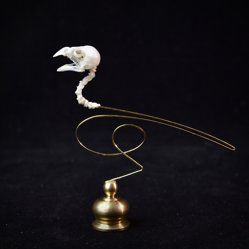 2111 Boutique Ethical Bird Sku - Art Craft Museum recensione e prezzo