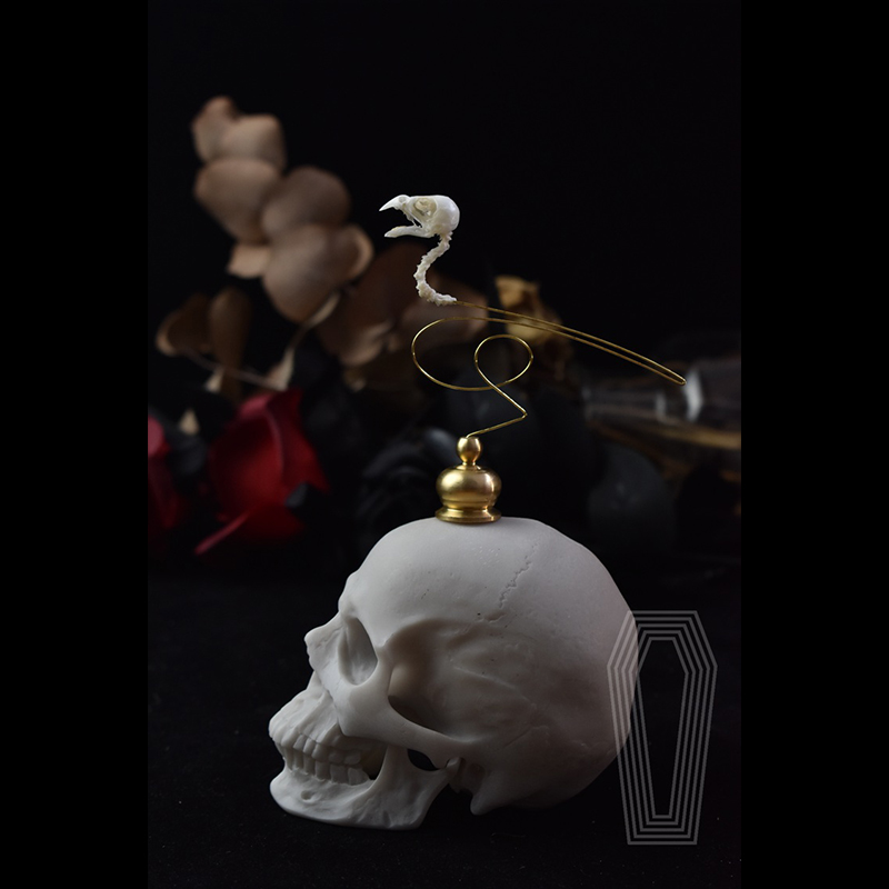 2111 Boutique Ethical Bird Sku - Art Craft Museum recensione e prezzo