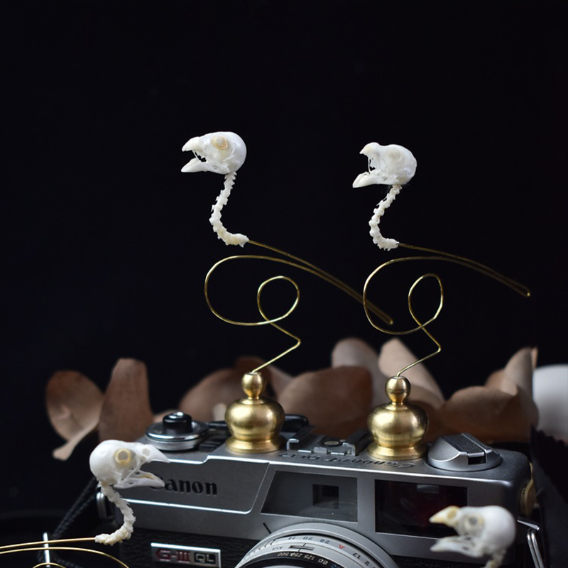 2111 Boutique Ethical Bird Sku - Art Craft Museum recensione e prezzo