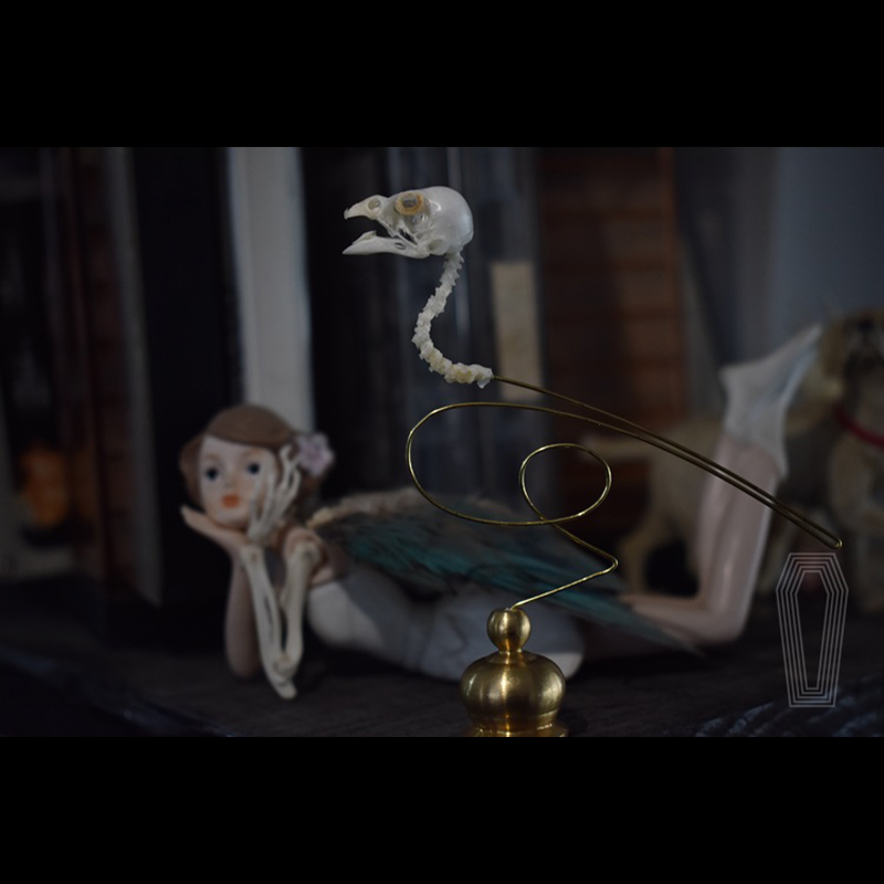 2111 Boutique Ethical Bird Sku - Art Craft Museum recensione e prezzo