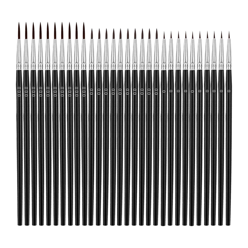 30Pcs Tiny Detail Paint Brushe - Watercolor Brush Pen recensione e prezzo