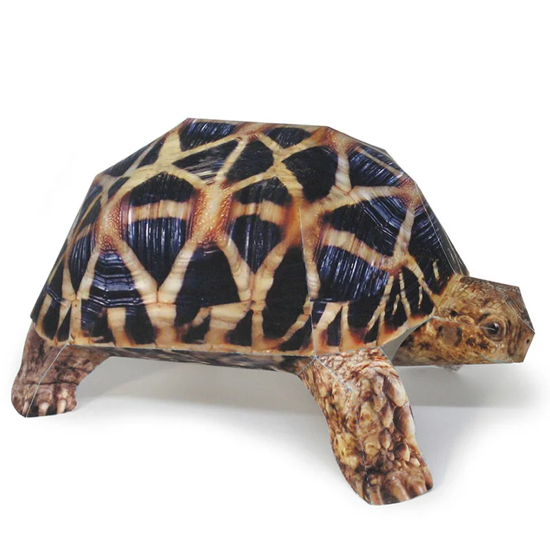 Indian Star Tortoise Paper Mod - Art Craft Cardboard recensione e prezzo
