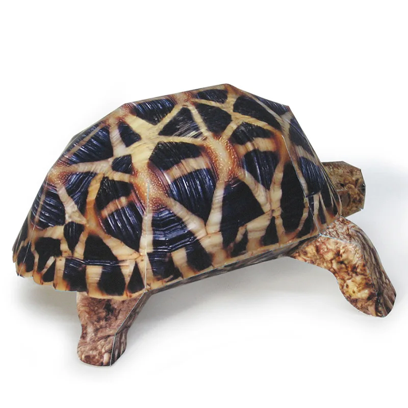 Indian Star Tortoise Paper Mod - Art Craft Cardboard recensione e prezzo