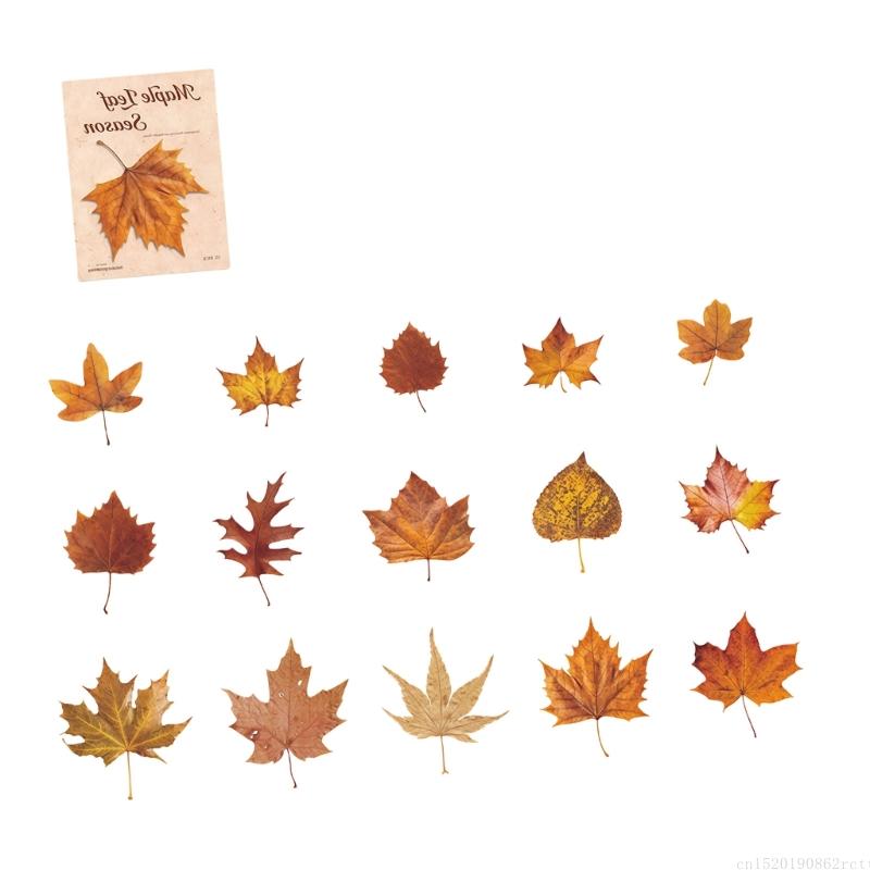 D5BB Theme PET Sticker for Kid - Art Craft Notebook recensione e prezzo