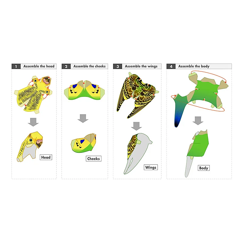 Budgerigar Parrot Bird Handmad - Art Craft Cardboard recensione e prezzo