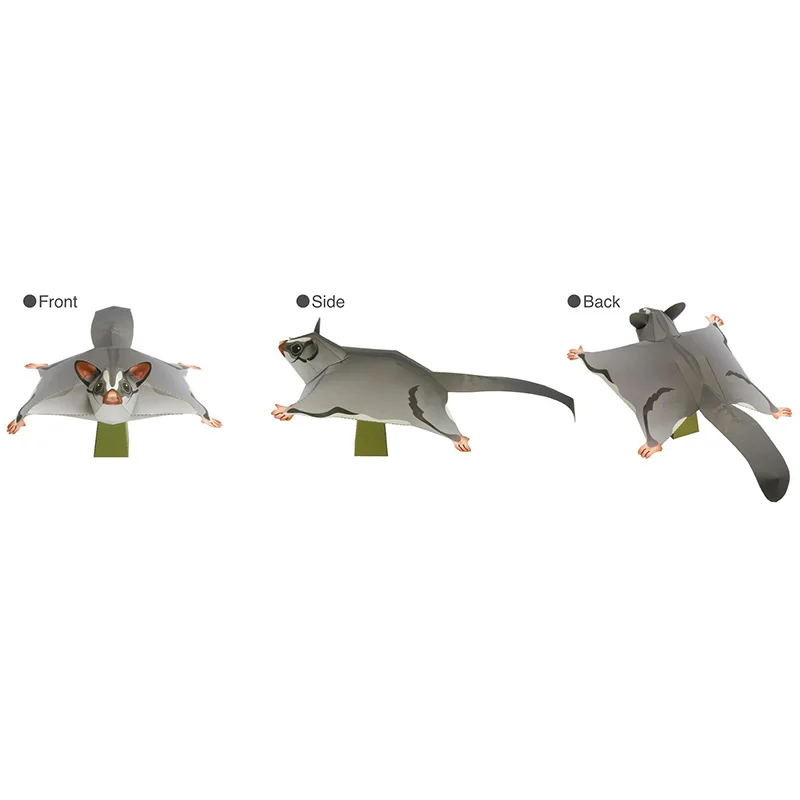 Sugar Glider Flying Mouse Hand - Art Craft Cardboard recensione e prezzo